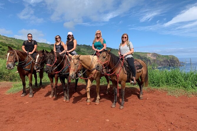 Maui Horseback Adventure at Circle M Ranch With Real Cowboys - The Experience for Families and Novices