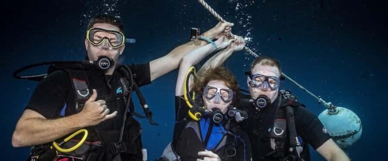 Maui: Intro to Scuba Diving from Shore - Lahaina - Explore Maui’s Beginner-Friendly Scuba Experience for $160