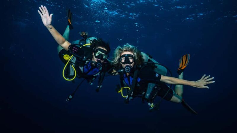 Maui: Intro to Scuba Diving from Shore - Lahaina - Encounter Maui’s Coral Reefs and Tropical Marine Life