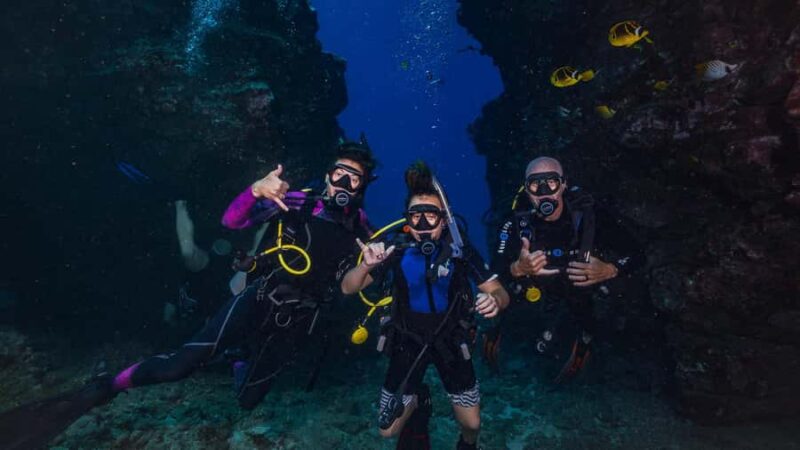 Maui: Intro to Scuba Diving from Shore - Lahaina - Flexibility with Bookings and Cancellation Policies