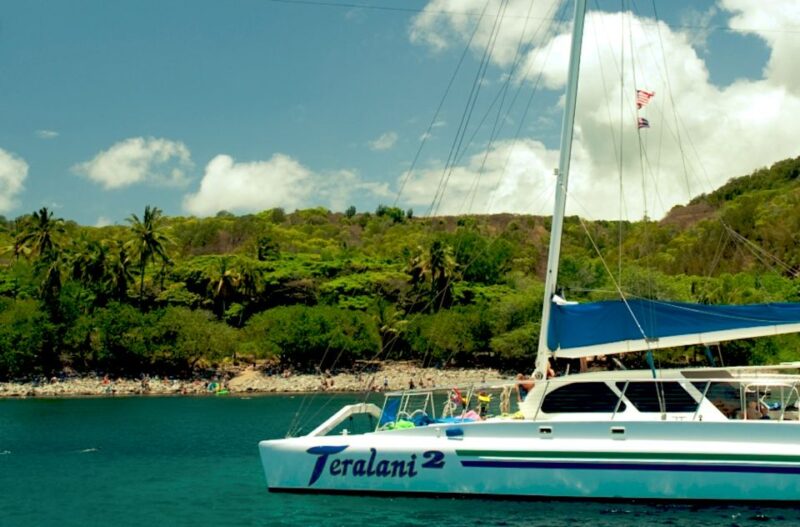 Maui: Kaanapali Beach 4-hour Snorkel w/ BBQ Lunch & Open Bar - Discover Maui’s Premier Snorkel Spots from a Luxury Catamaran