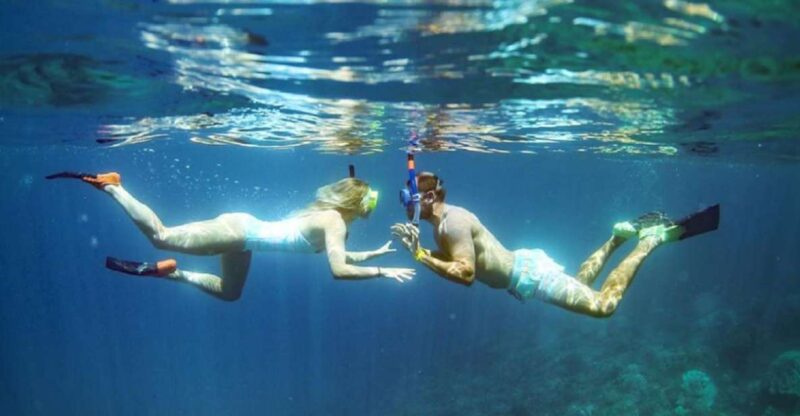 Maui: Kaanapali Beach 4-hour Snorkel w/ BBQ Lunch & Open Bar - An Experience Praised for Its Guides and Food