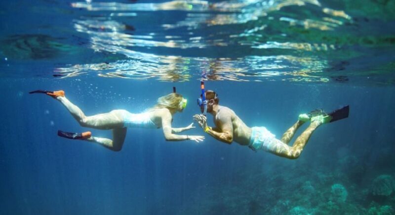 Maui: Kaanapali Beach 4-hour Snorkel w/ BBQ Lunch & Open Bar - Maui’s Short but Sweet Ocean Adventure