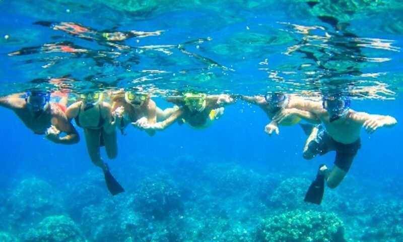 Maui: Kaanapali Beach 5-hr Snorkel w/ BBQ Lunch & Open Bar - Key Points