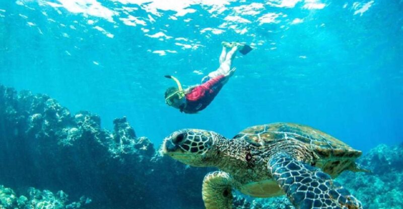 Maui: Kaanapali Beach 5-hr Snorkel w/ BBQ Lunch & Open Bar - The Luxury Catamaran Cruise Experience