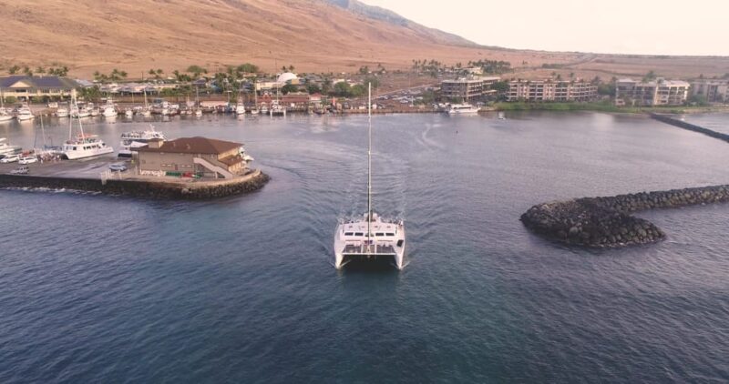 Maui: Luxury Catamaran Turtles & Tacos Snorkel - Open Bar with Margaritas, Craft Beers, and Ocean Breezes