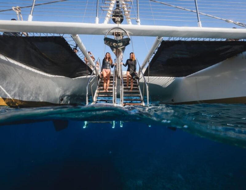 Maui: Luxury Catamaran Turtles & Tacos Snorkel - Professional Photography to Capture Your Underwater Moments