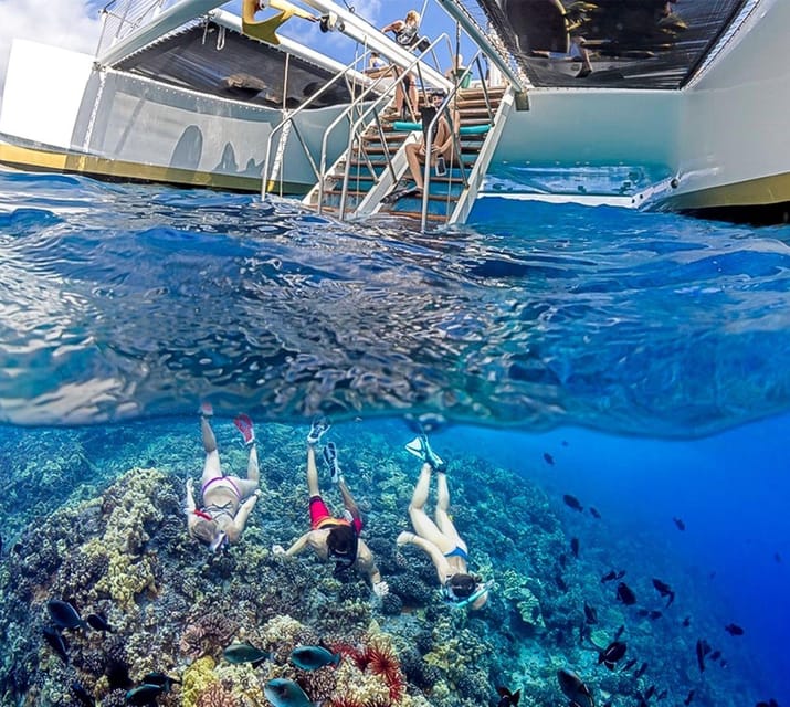 Maui: Luxury Catamaran Turtles & Tacos Snorkel - Who Will Enjoy This Tour Most?
