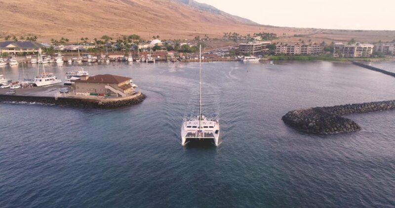 Maui: Luxury Catamaran Whale Watch & Sail - Discover the Luxury Maui Whale Watch & Sail Experience