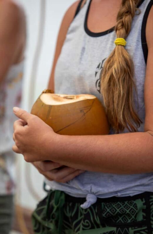 Maui: Macadamia Nut Farm and Hydroponic Tour with Lunch - Key Points