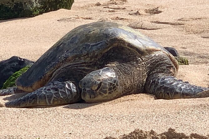 Maui Magical Waterfall and Jungle Tour: Road to Hana - Included Snacks, Photos, and Rain Gear