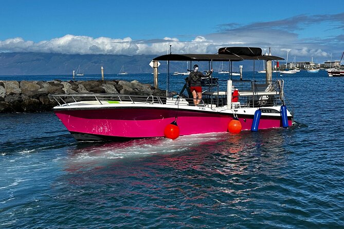 Maui Mid Day Magic Whale Watch - Physical Requirements and Accessibility