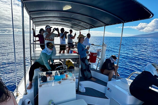 Maui Mid Day Magic Whale Watch - Final Thoughts on the Maui Mid Day Magic Whale Watch