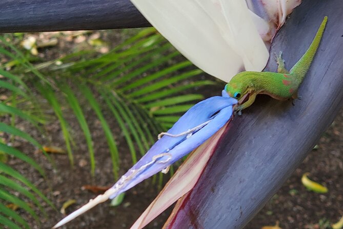 Maui Mini Retreat - What to Expect During the 3-Hour Experience