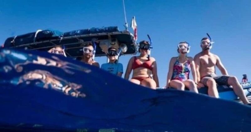 Maui: Molokini Crater and Turtle Town Snorkeling Tour - 3 hr - Discover Mauis Best Snorkeling with a 3-Hour Tour at $162