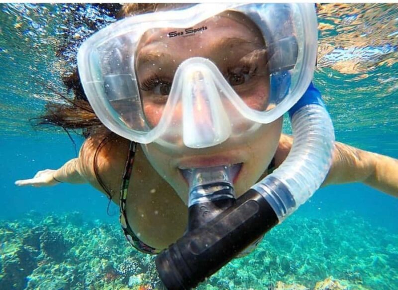 Maui: Molokini Crater and Turtle Town Snorkeling Tour - 3 hr - Key Points