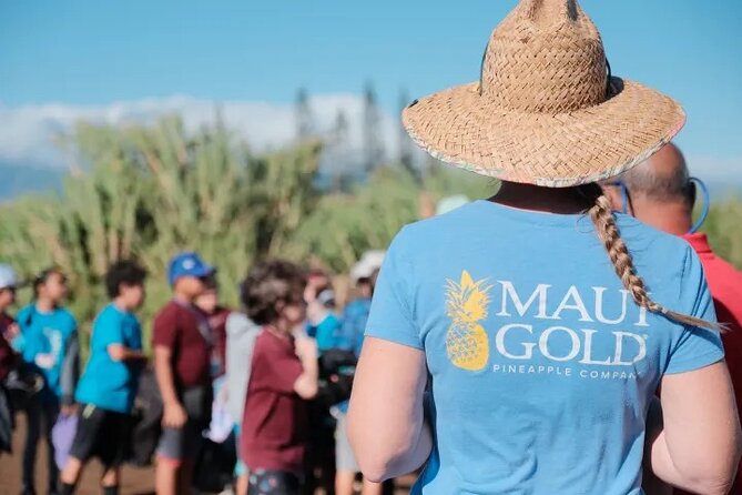 Maui Pineapple Planting Experience - Practical Details and Accessibility