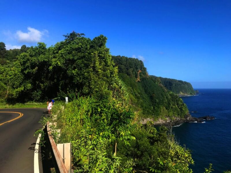 Maui: Private Halfway to Hana Tour - Comfort and Convenience in an Air-Conditioned Vehicle