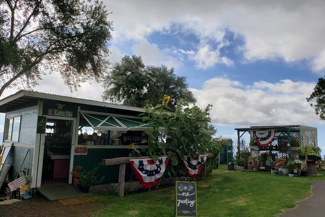 Maui Private Tour - Road to Hana Adventure - Just for Your Group - Iconic Maui Spots: Nakalele Blowhole and Wailua Falls