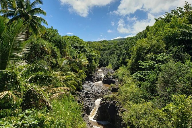 Maui Private Tour - Road to Hana Adventure - Just for Your Group - Cultural and Local Flavor at Puaa Kaa and the Maui Honeybee Sanctuary