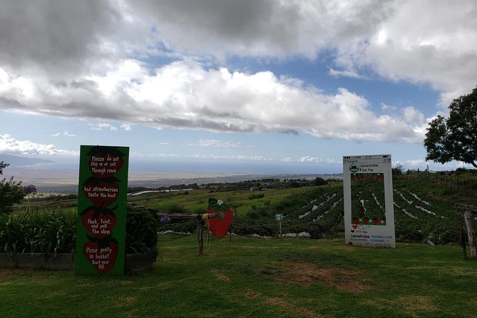 Maui Private Tour - Road to Hana Adventure - Just for Your Group - Practical Tips and Considerations