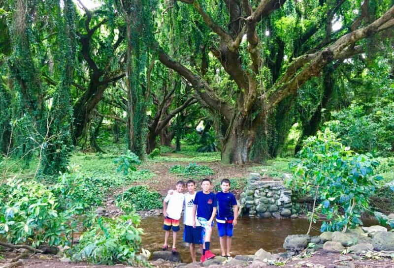 Maui: Private Valley Isle Customized Tour - Practicalities: Transport, Physical Requirements, and Accessibility