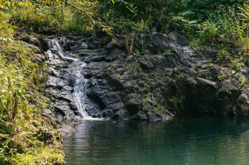 Maui: Rainforest Waterfalls Guided Hike with Picnic Lunch - A Family-Friendly Adventure for Active Travelers