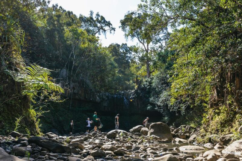 Maui: Rainforest Waterfalls Guided Hike with Picnic Lunch - Why This Guided Hike Stands Out