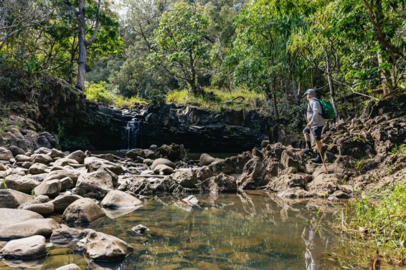 Maui: Rainforest Waterfalls Guided Hike with Picnic Lunch - Maui’s Waterfalls and Rainforest Hike: A Worthwhile Adventure