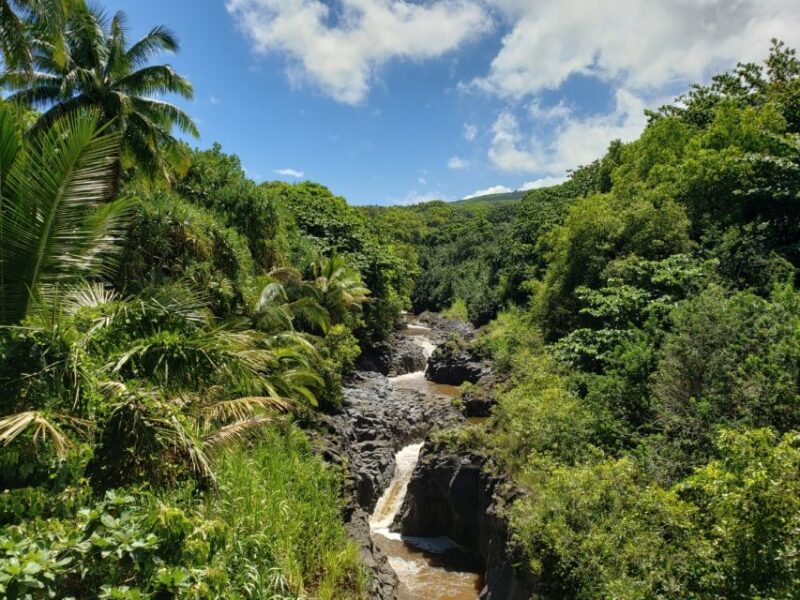 Maui: Road to Hana Adventure with Breakfast & Lunch - Cultural and Local Food Experiences