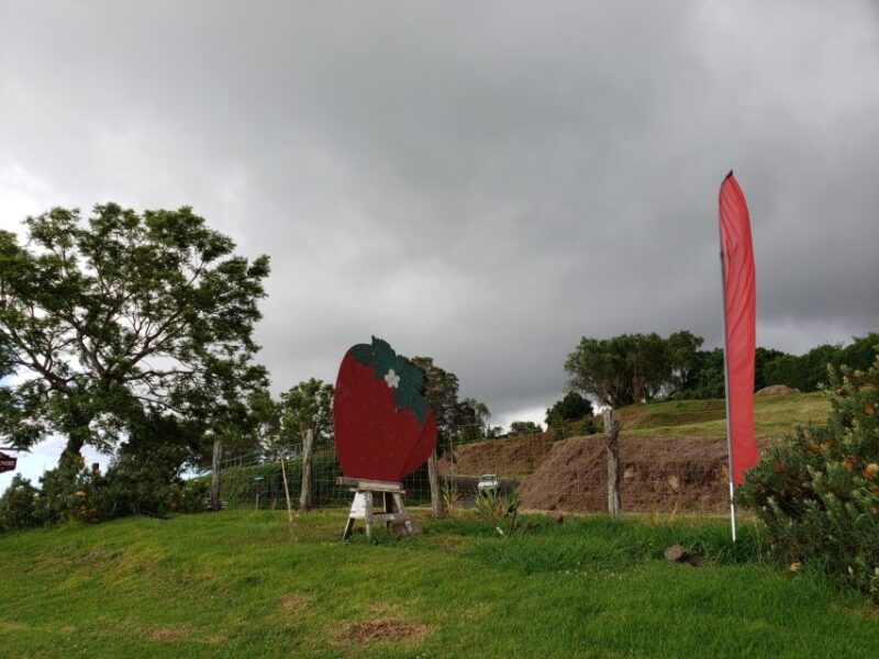 Maui: Road to Hana Adventure with Breakfast & Lunch - Stops at Lookouts and Local Markets