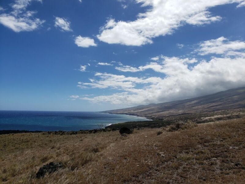 Maui: Road to Hana Adventure with Breakfast & Lunch - Why Choose This Tour?