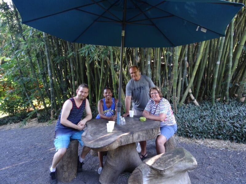 Maui: Road to Hana Waterfalls Tour with Lunch - Discover Mauis Iconic Road to Hana Waterfalls Tour with Lunch