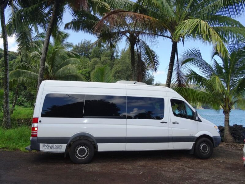 Maui: Road to Hana Waterfalls Tour with Lunch - The Guide and Overall Experience