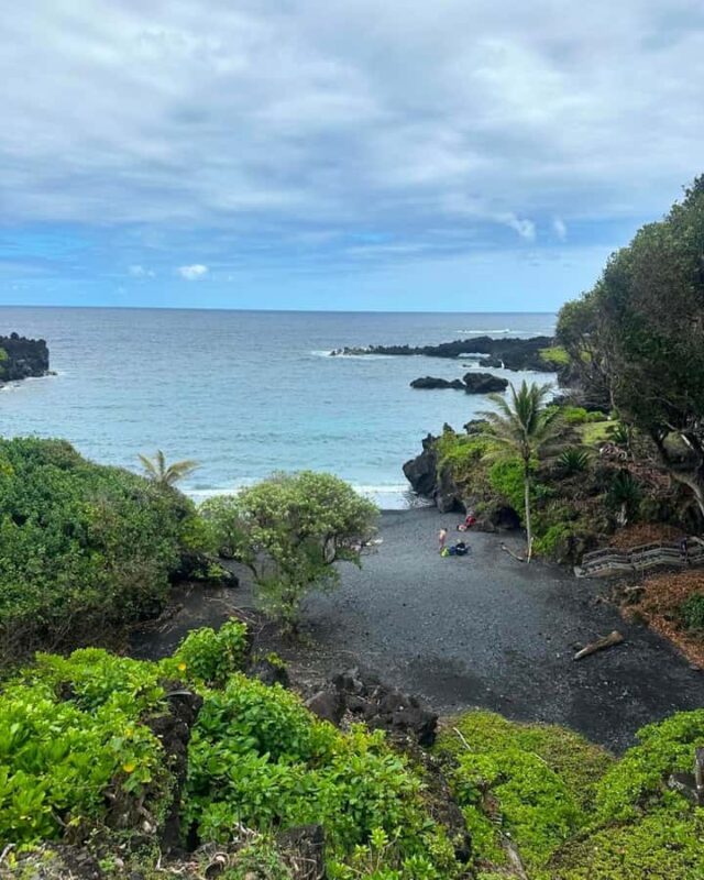 Maui Sea Turtles & Waterfalls: Full-Day Road to Hana Tour - Discover the Maui Sea Turtles & Waterfalls: Full-Day Road to Hana Tour