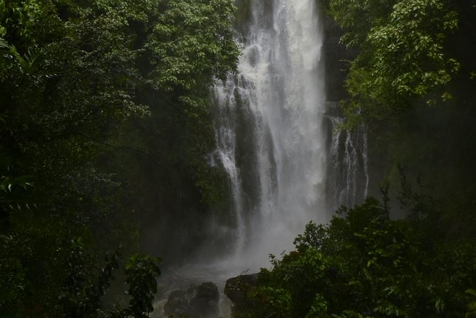 Maui Shore Excursion : Road to Hana Day Trip P/up Ka'anapali - Wailua Falls: The Iconic Cascade Near the Road