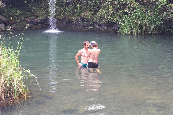 Maui Shore Excursion : Road to Hana Day Trip P/up Ka'anapali - Lunch and Relaxation at Waianapanapa State Park