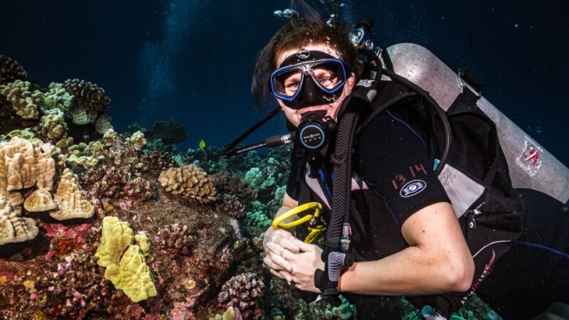 Maui: Small Group Shark & Turtle Scuba Dive from Shore - Guides and Customer Service: Knowledgeable and Friendly Support