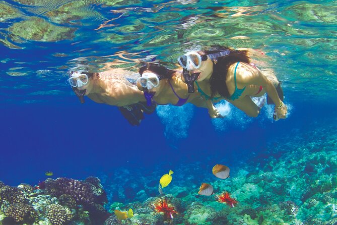 Maui Snorkel and Sunset Sail - Key Points