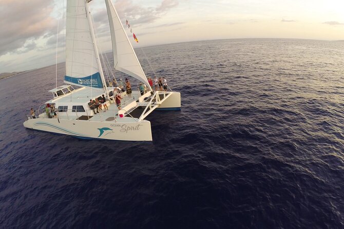 Maui Snorkel and Sunset Sail - Wildlife Interpretation and Onboard Naturalists