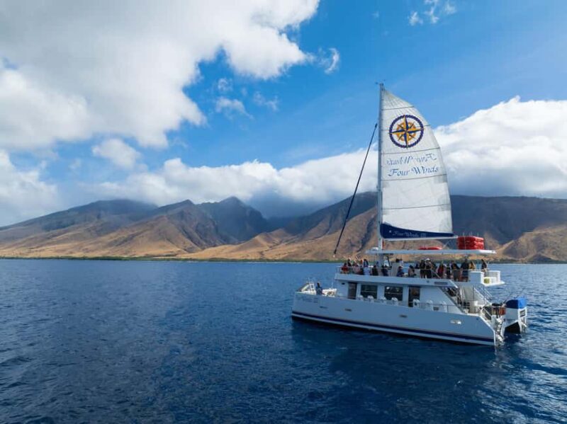 Maui: Snorkel Tour to Coral Gardens - Starting Point at Maalaea Harbor and What to Expect