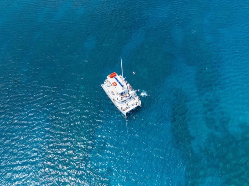 Maui: Snorkel Tour to Coral Gardens - Physical Requirements, Safety, and Accessibility