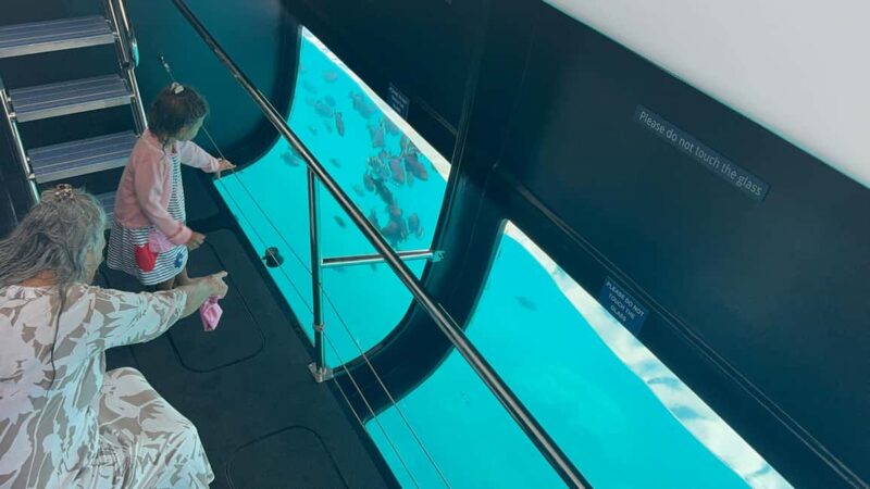 Maui: Snorkel Tour to Coral Gardens - The Safety and Hospitality of the Four Winds Crew