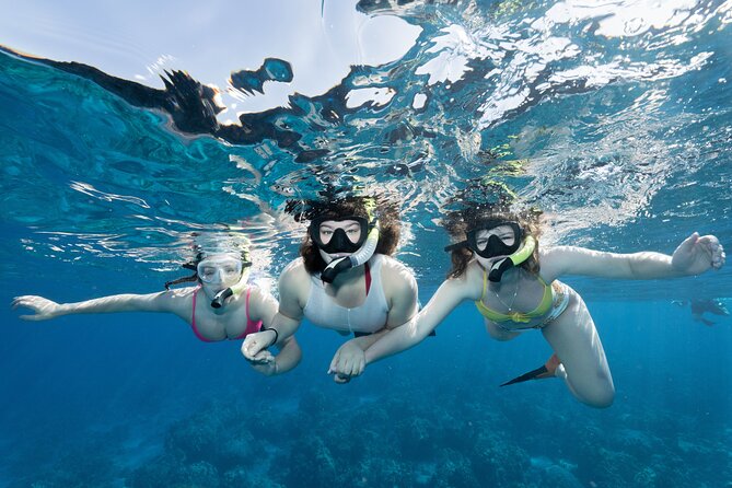 Maui Snorkeling Boat Tour to Turtle Town Aboard Quicksilver - Discover Maui’s Underwater Magic with the Quicksilver Snorkeling Tour