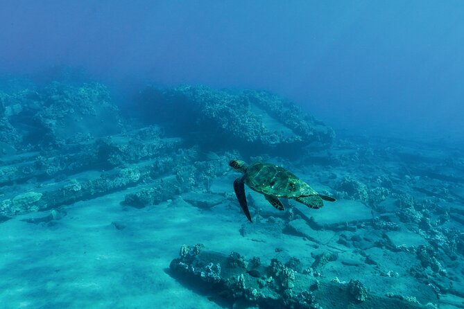 Maui Snorkeling Boat Tour to Turtle Town Aboard Quicksilver - The Boat: Spacious, Safe, and Fun with a Waterslide