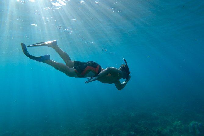 Maui Snorkeling Boat Tour to Turtle Town Aboard Quicksilver - Who Will Enjoy This Tour Most?