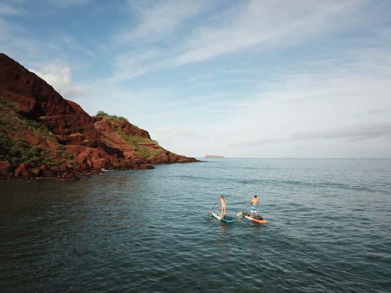 Maui: Stand-Up Paddleboard Rental - Key Points