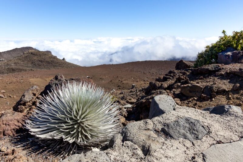 Maui: Sunrise & Breakfast Tour to Haleakala National Park - Descending Through Maui’s Varied Landscapes