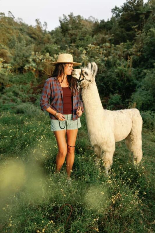 Maui: Sunset Llama Trek on Haleakala - The Logistics of the Tour