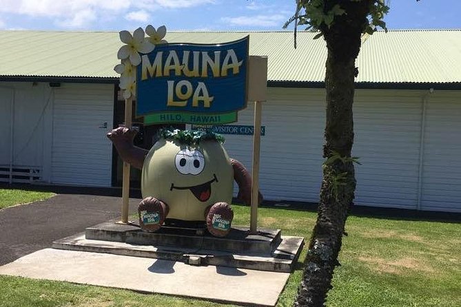 Maui to Big Island : Big Island Volcano Helicopter Tour & Ground Tour - Tour of Hilo’s Iconic Landmarks and Natural Attractions